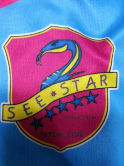 SEESTAR
